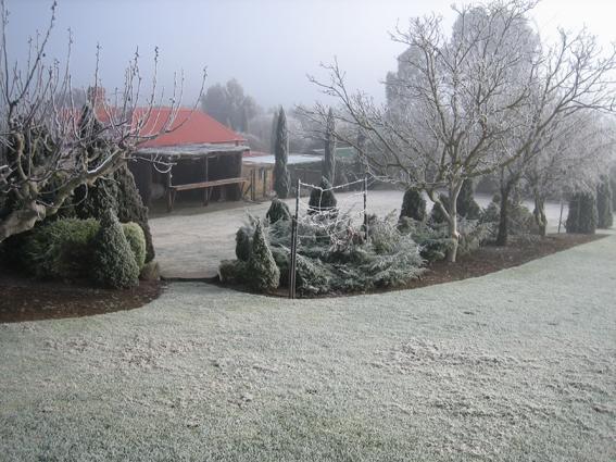 Vineyard Cottage Bnb Gumeracha Exterior foto