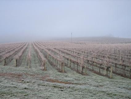 Vineyard Cottage Bnb Gumeracha Exterior foto